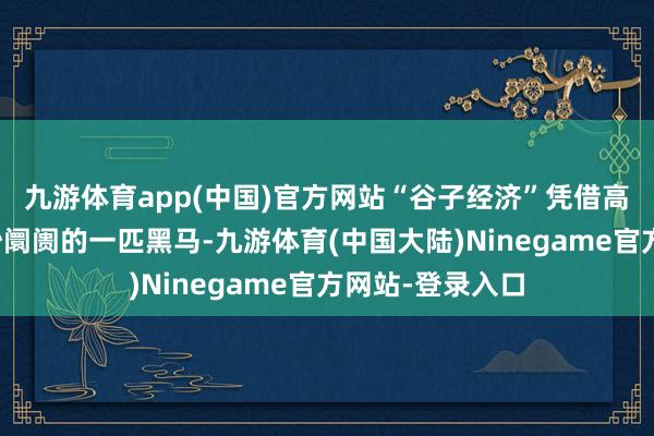 九游体育app(中国)官方网站“谷子经济”凭借高速增长成为破钞阛阓的一匹黑马-九游体育(中国大陆)Ninegame官方网站-登录入口